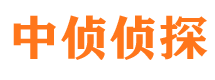 雁峰侦探社